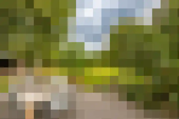 Hoofdweg 30 Veenhuizen thumbnail 7