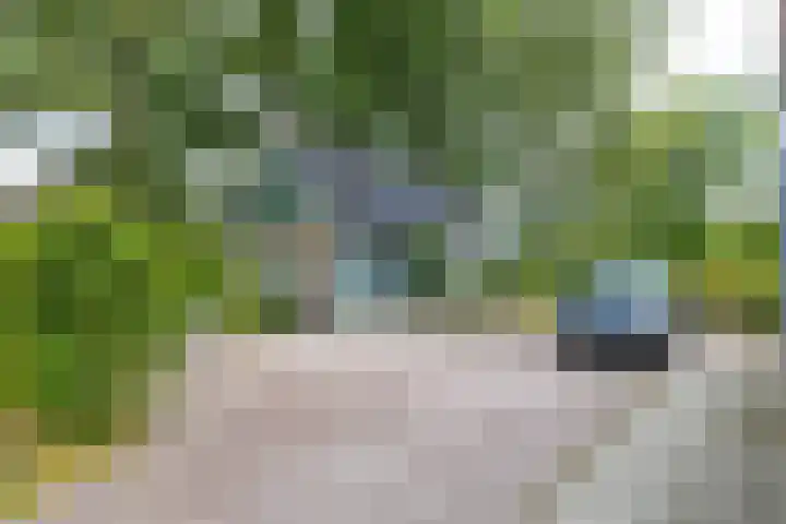 Hoofdweg 30 Veenhuizen thumbnail 8