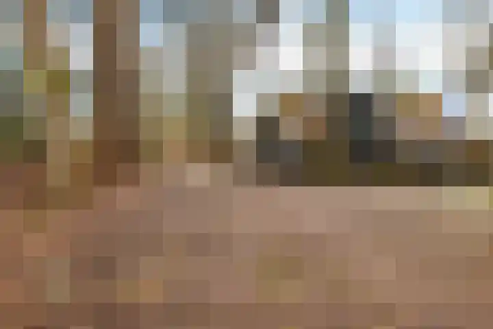 Hoofdweg 302 Paterswolde thumbnail 34