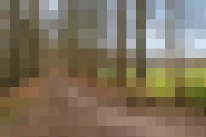 Hoofdweg 302 Paterswolde thumbnail 35