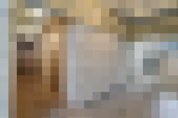 Hoofdweg 302 Paterswolde thumbnail 40