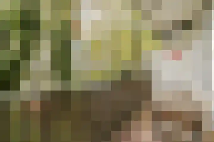 Hoofdweg 303 3 Amsterdam thumbnail 17