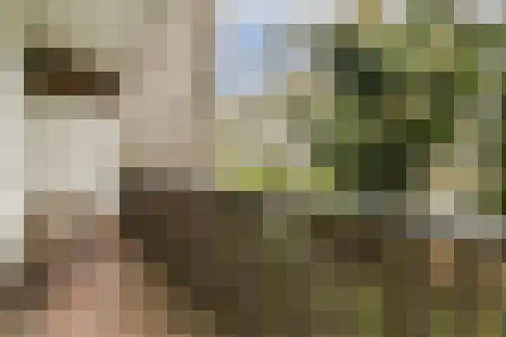 Hoofdweg 303 3 Amsterdam thumbnail 18