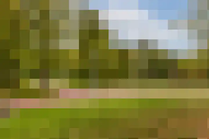 Hoofdweg 303 3 Amsterdam thumbnail 25