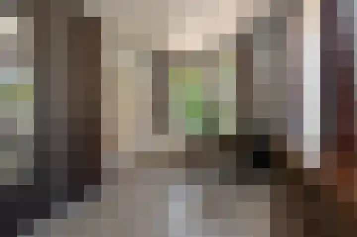 Hoofdweg 308 Midwolda thumbnail 15