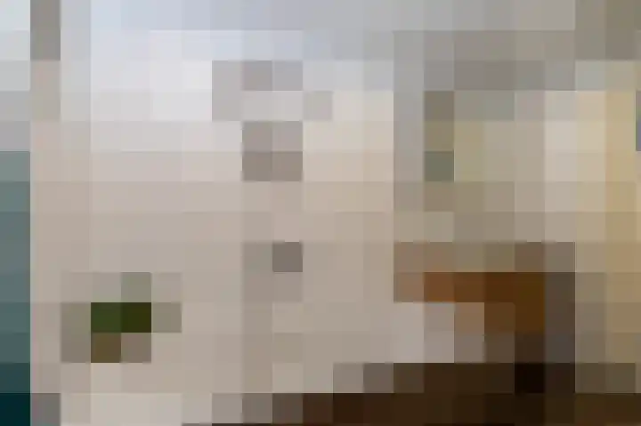 Hoofdweg 308 Midwolda thumbnail 19
