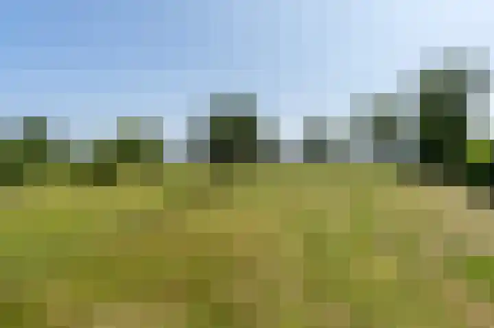 Hoofdweg 308 Midwolda thumbnail 37