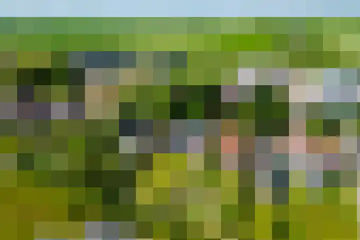 Hoofdweg 308 Midwolda thumbnail 46
