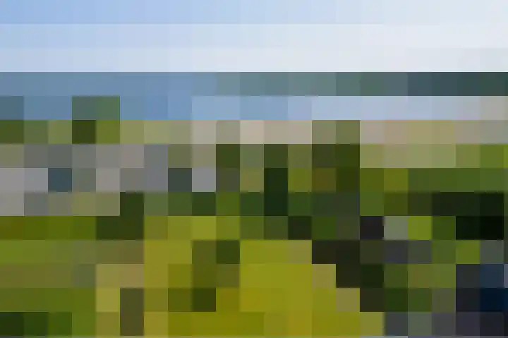Hoofdweg 308 Midwolda thumbnail 48