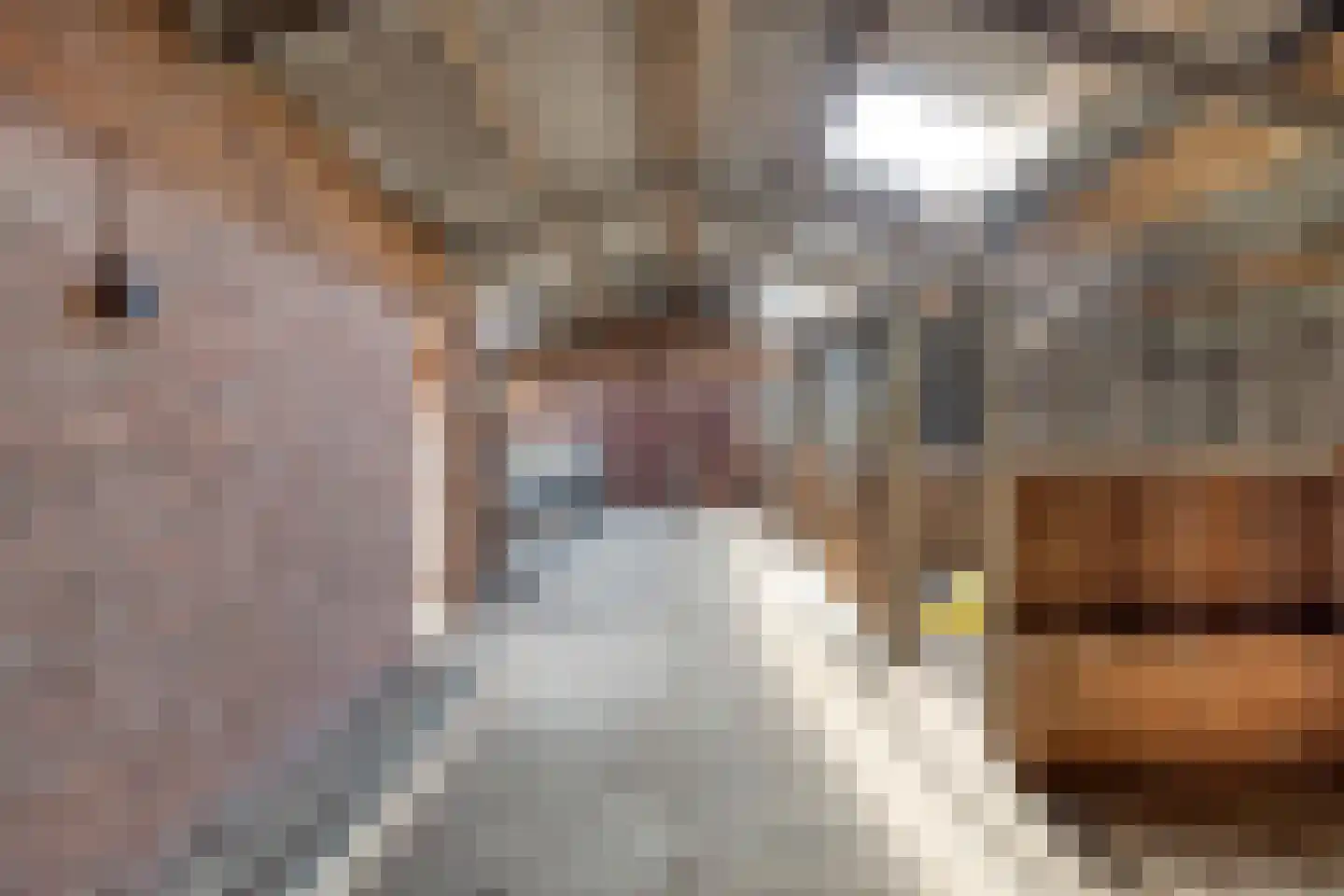 Hoofdweg 31 B Oldelamer thumbnail 4