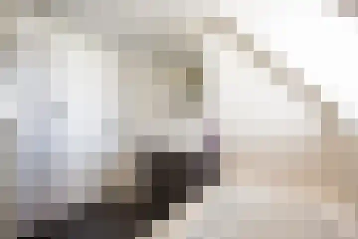 Hoofdweg 31 Boerakker thumbnail 37