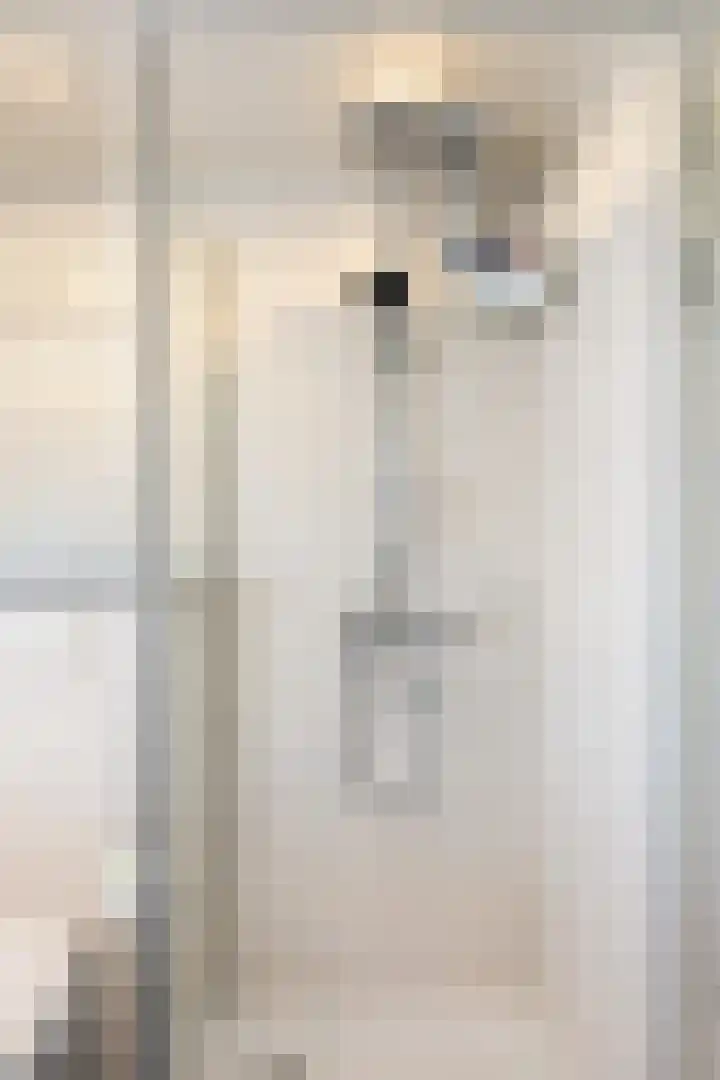 Hoofdweg 31 Boerakker thumbnail 41