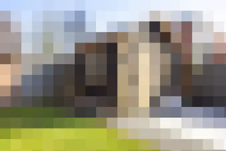 Hoofdweg 31 Boerakker thumbnail 48