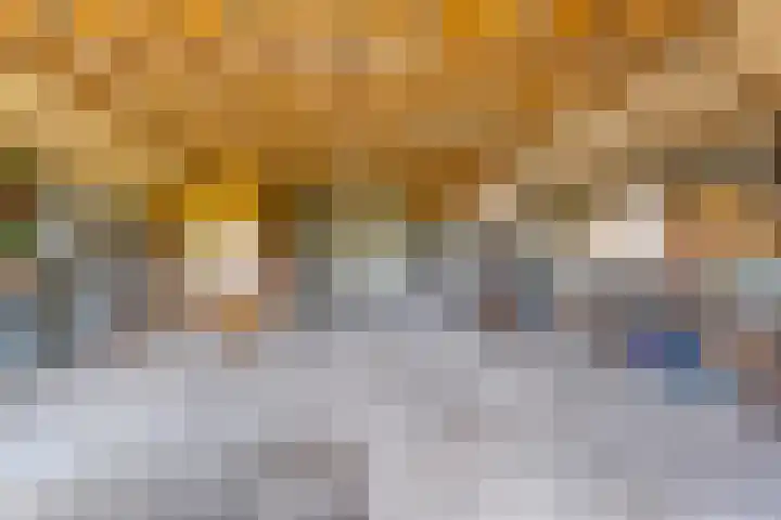 Hoofdweg 31 Nijensleek thumbnail 37