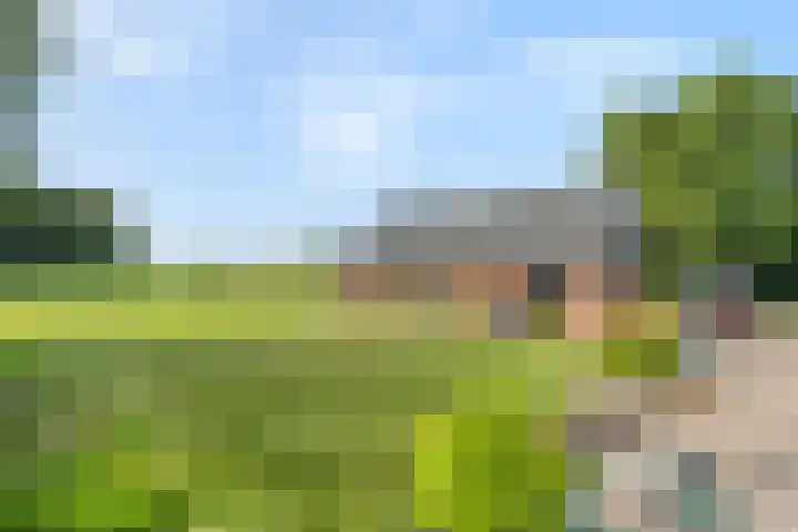 Hoofdweg 31 Nijensleek thumbnail 38