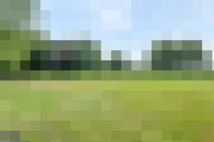 Hoofdweg 31 Nijensleek thumbnail 39