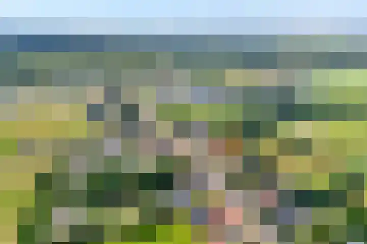 Hoofdweg 31 Nijensleek thumbnail 4