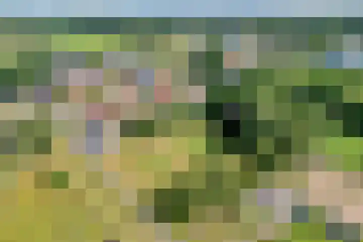 Hoofdweg 31 Nijensleek thumbnail 40
