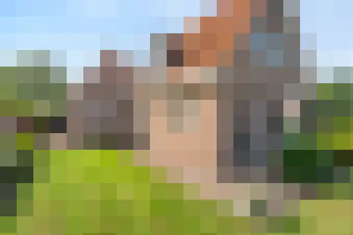 Hoofdweg 31 Nijensleek thumbnail 47