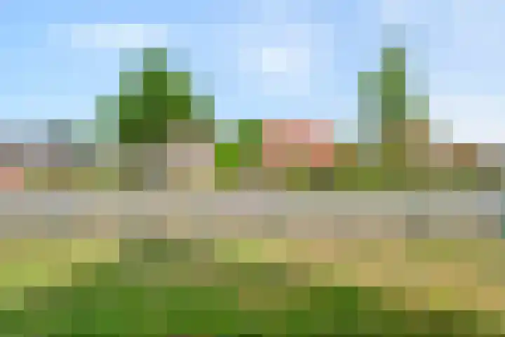 Hoofdweg 31 Nijensleek thumbnail 48