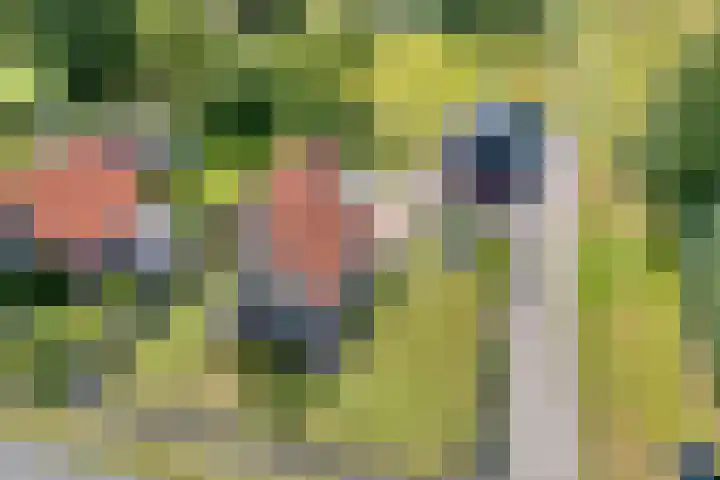 Hoofdweg 31 Nijensleek thumbnail 55
