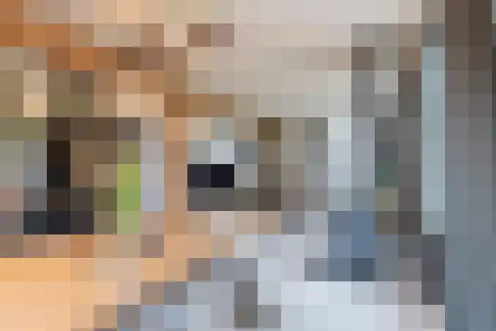 Hoofdweg 31 Oldelamer thumbnail 15