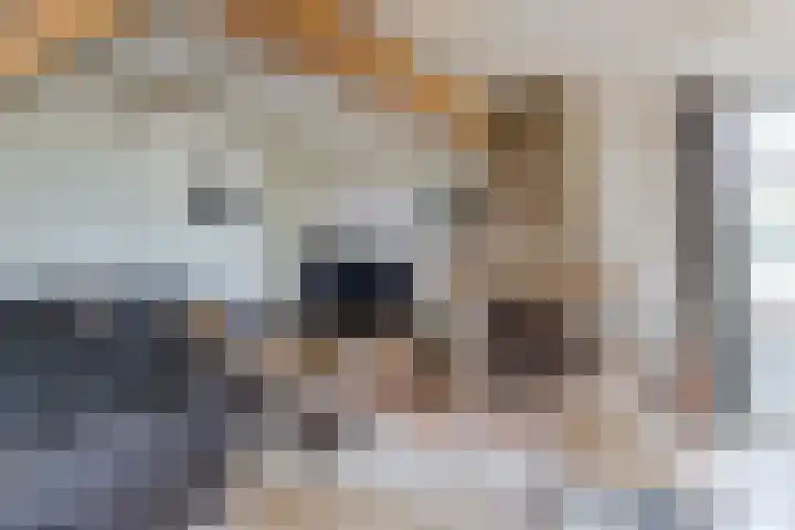 Hoofdweg 31 Oldelamer thumbnail 19