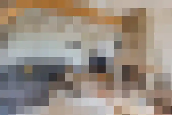 Hoofdweg 31 Oldelamer thumbnail 21