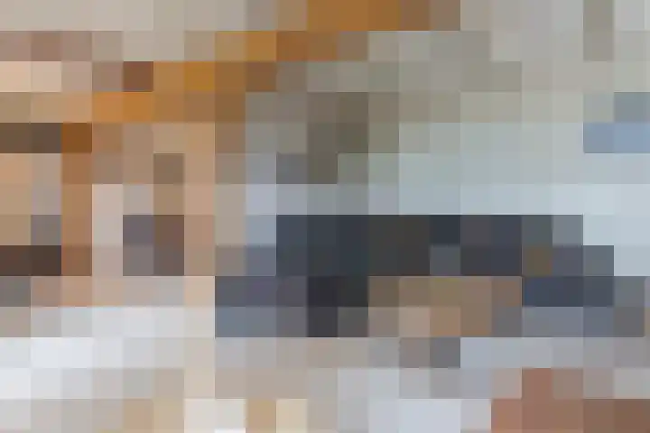 Hoofdweg 31 Oldelamer thumbnail 23