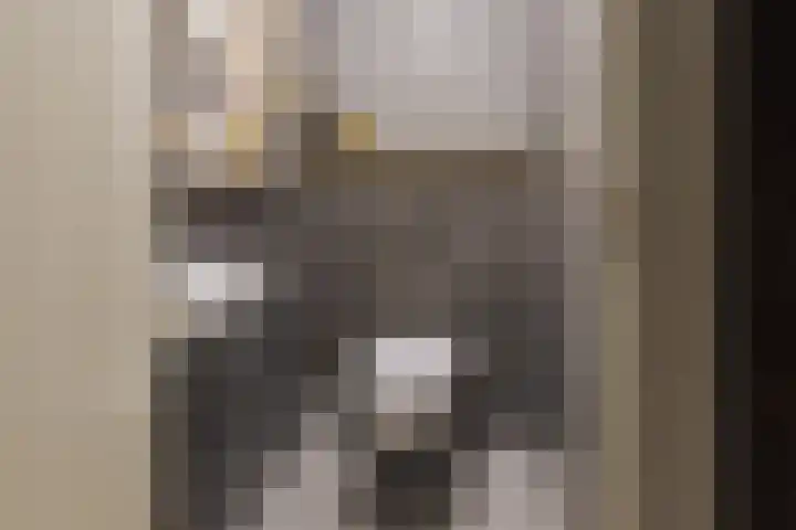 Hoofdweg 31 Oldelamer thumbnail 31