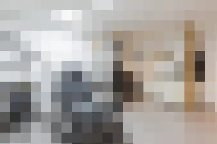 Hoofdweg 31 Oldelamer thumbnail 32