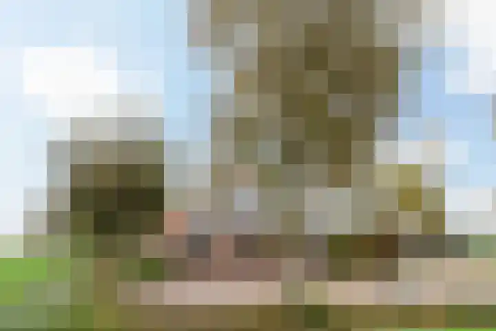Hoofdweg 31 Oldelamer thumbnail 4