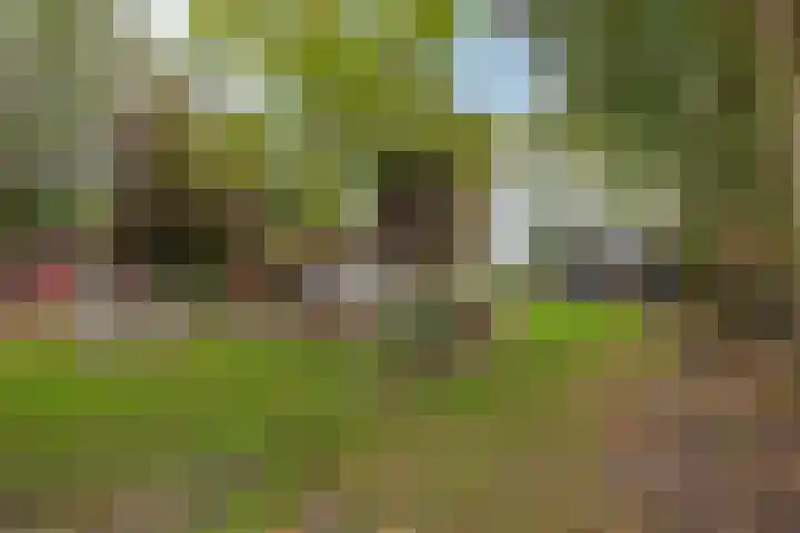 Hoofdweg 31 Oldelamer thumbnail 46