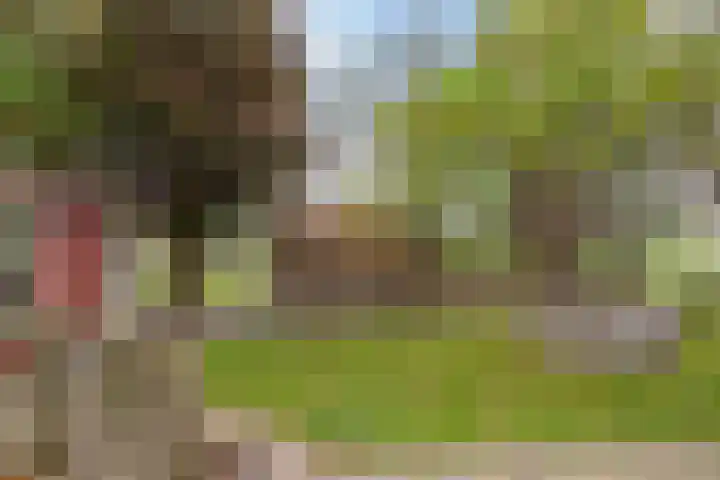 Hoofdweg 31 Oldelamer thumbnail 48