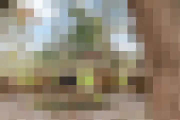 Hoofdweg 31 Oldelamer thumbnail 52