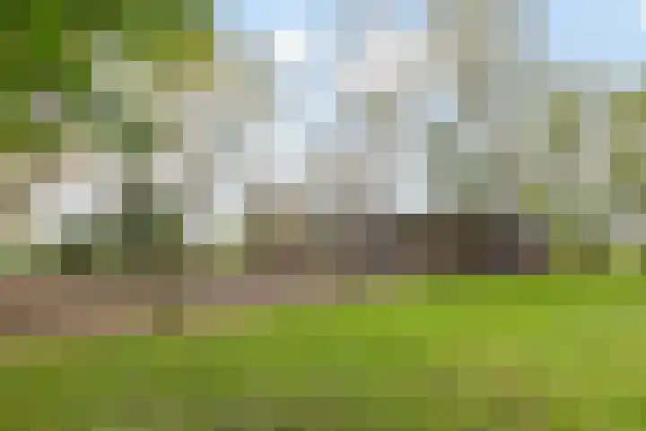 Hoofdweg 31 Oldelamer thumbnail 53