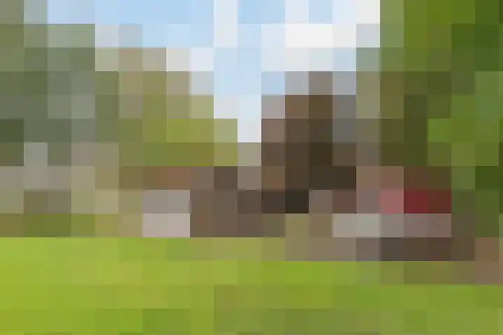 Hoofdweg 31 Oldelamer thumbnail 54