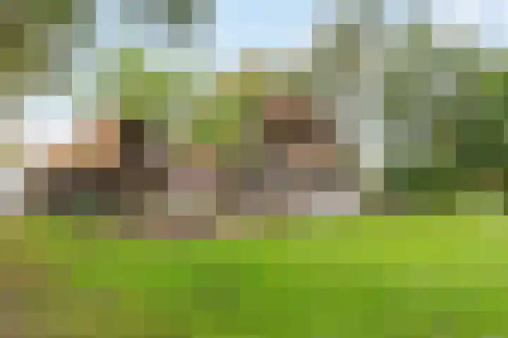 Hoofdweg 31 Oldelamer thumbnail 55