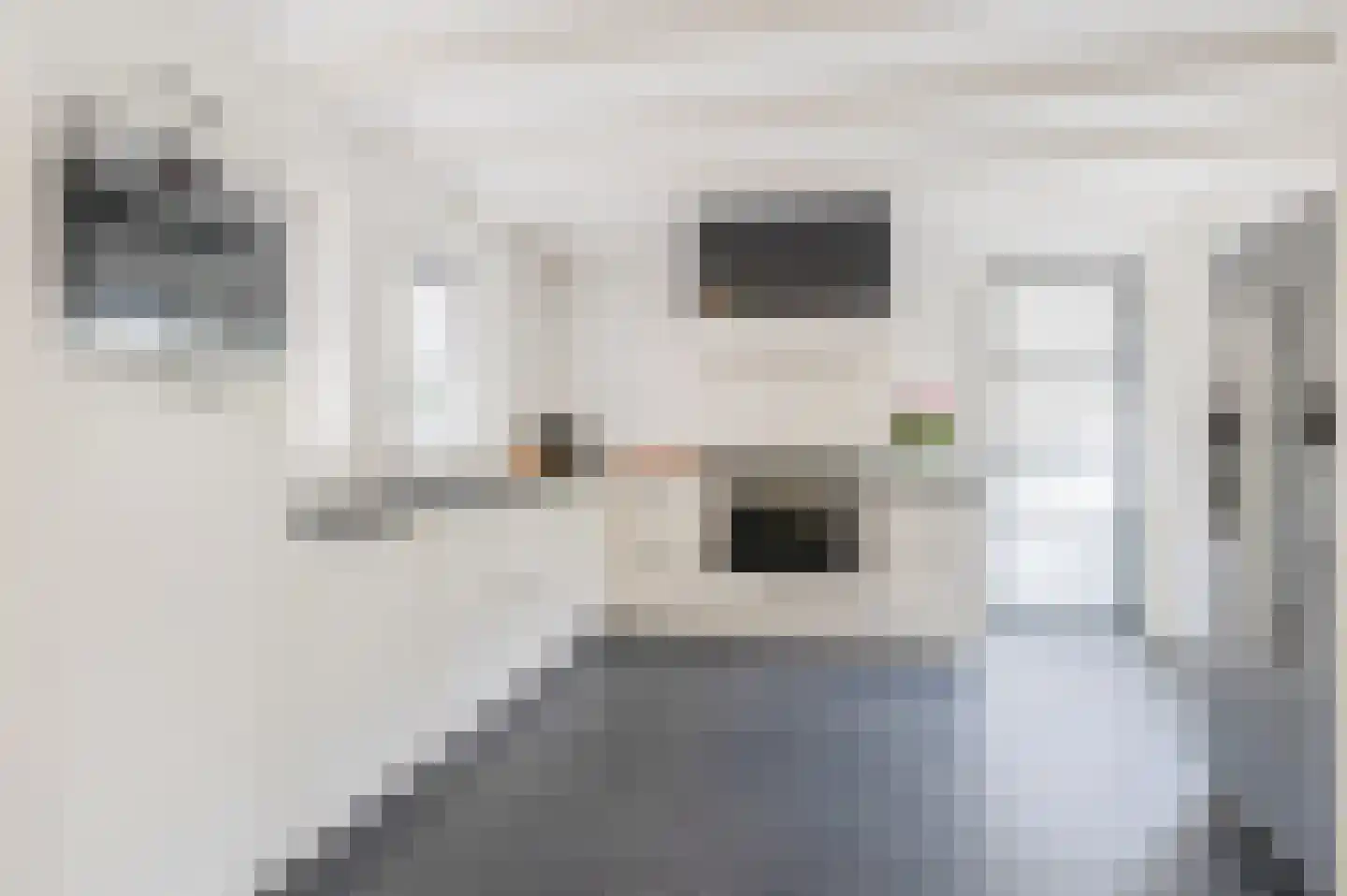 Hoofdweg 31 Westerlee thumbnail 21