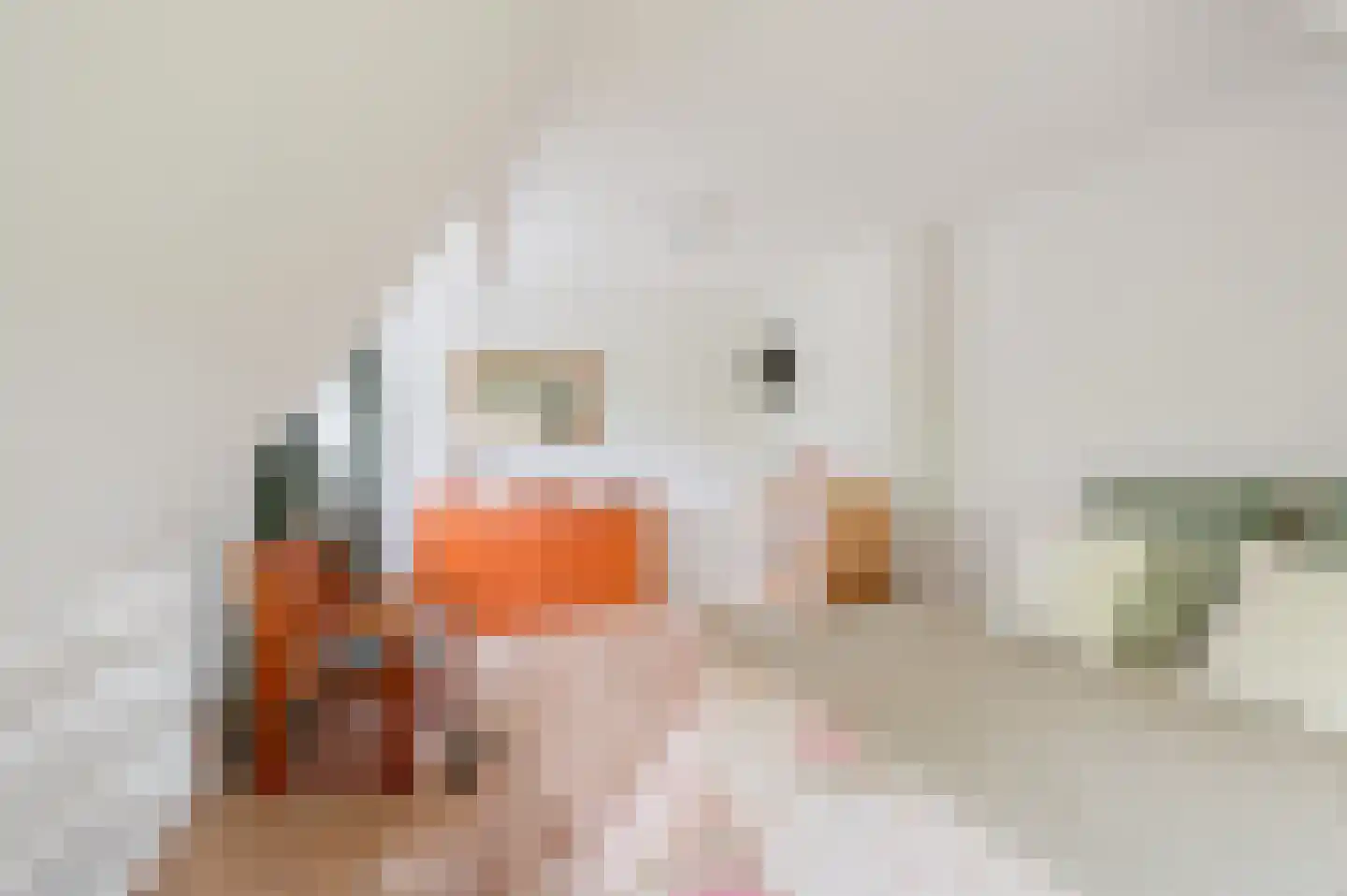 Hoofdweg 31 Westerlee thumbnail 31