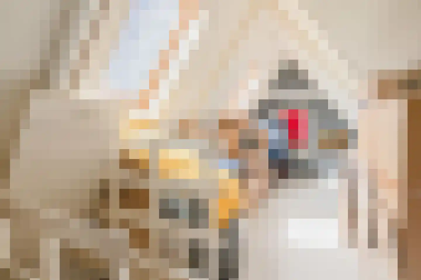 Hoofdweg 31 Westerlee thumbnail 39