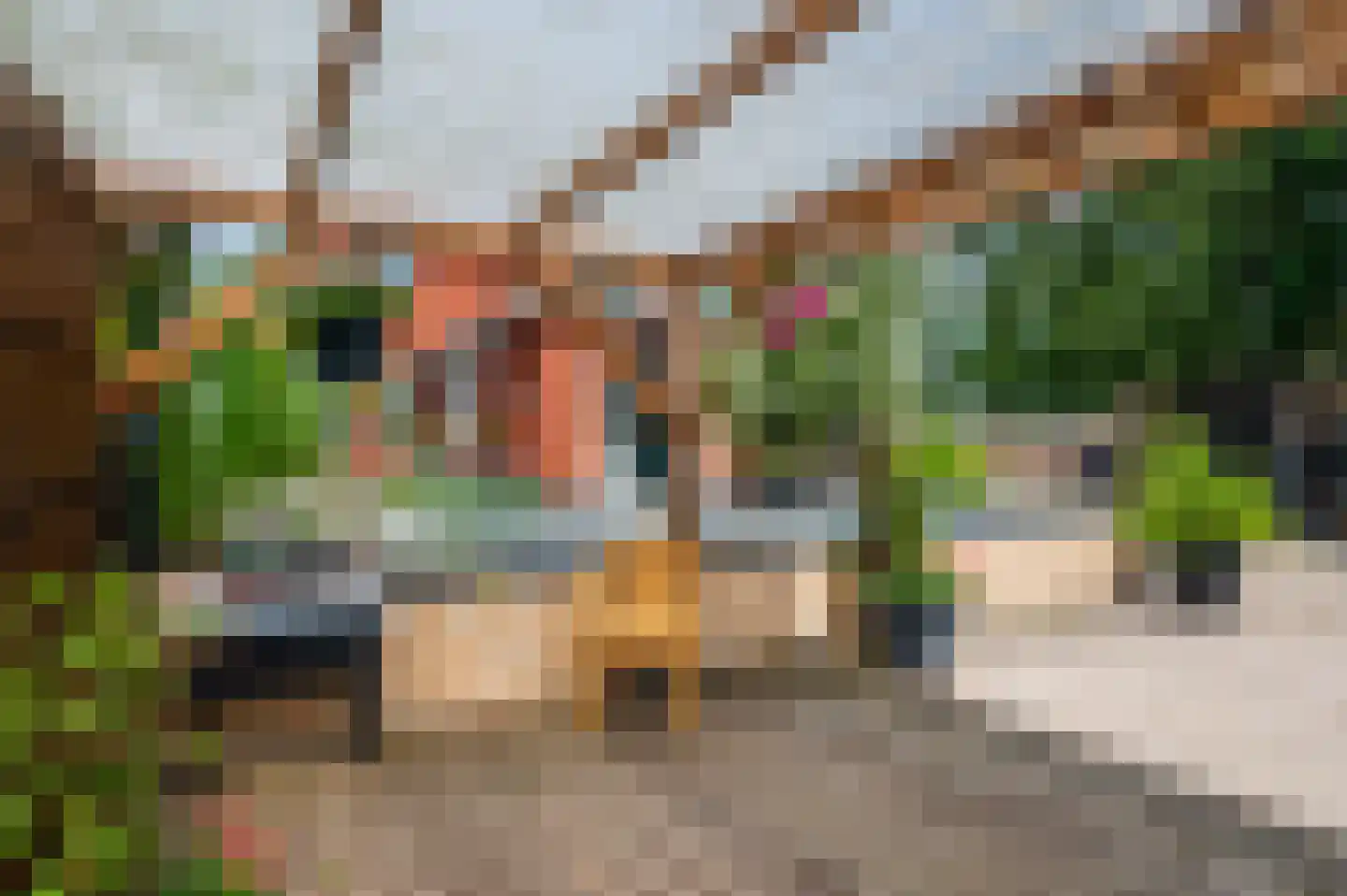 Hoofdweg 31 Westerlee thumbnail 54