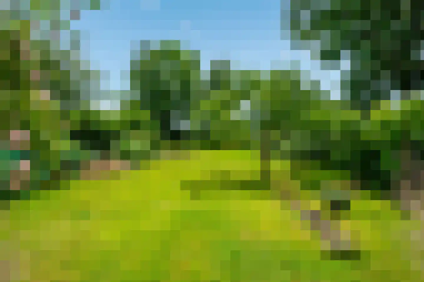 Hoofdweg 31 Westerlee thumbnail 56