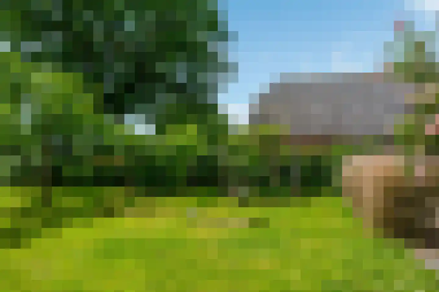 Hoofdweg 31 Westerlee thumbnail 57