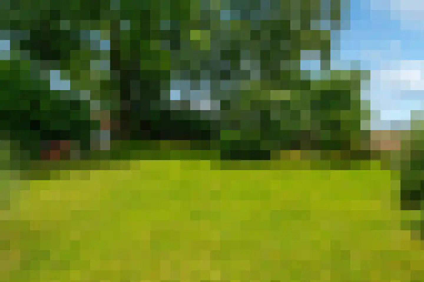 Hoofdweg 31 Westerlee thumbnail 59