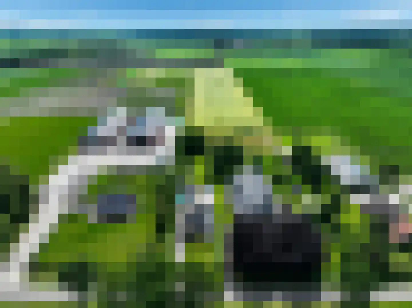 Hoofdweg 31 Westerlee thumbnail 70