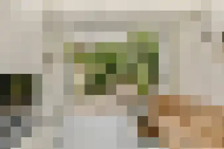 Hoofdweg 312 1 Amsterdam thumbnail 15