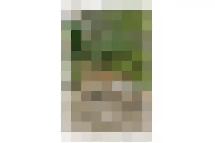 Hoofdweg 312 1 Amsterdam thumbnail 17