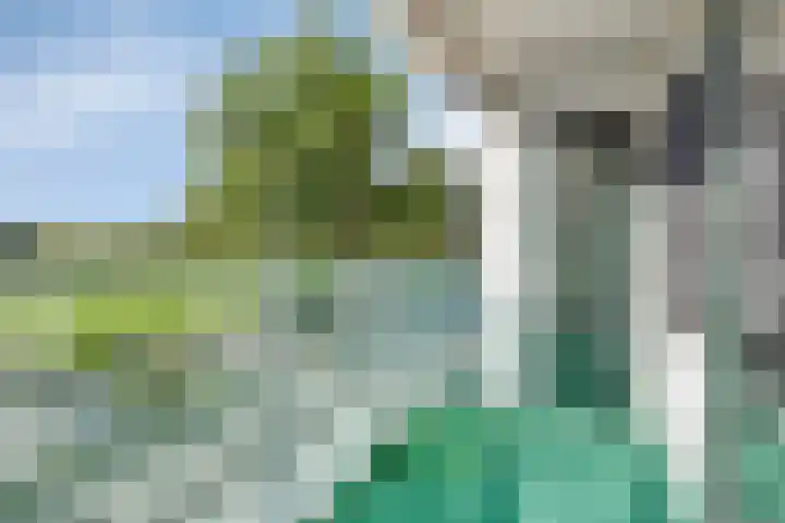 Hoofdweg 312 Paterswolde thumbnail 20