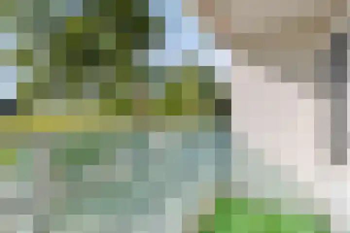 Hoofdweg 312 Paterswolde thumbnail 22